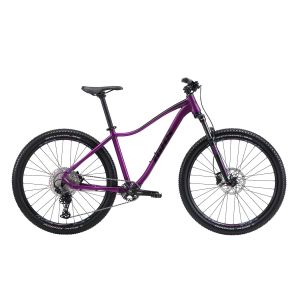 BiXS MARIPOSA 100