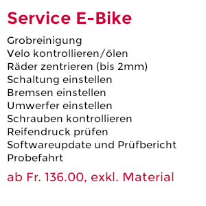 Service E-Bike ab 136.- Fr. exkl. Material