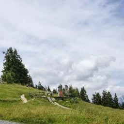 Single Trail